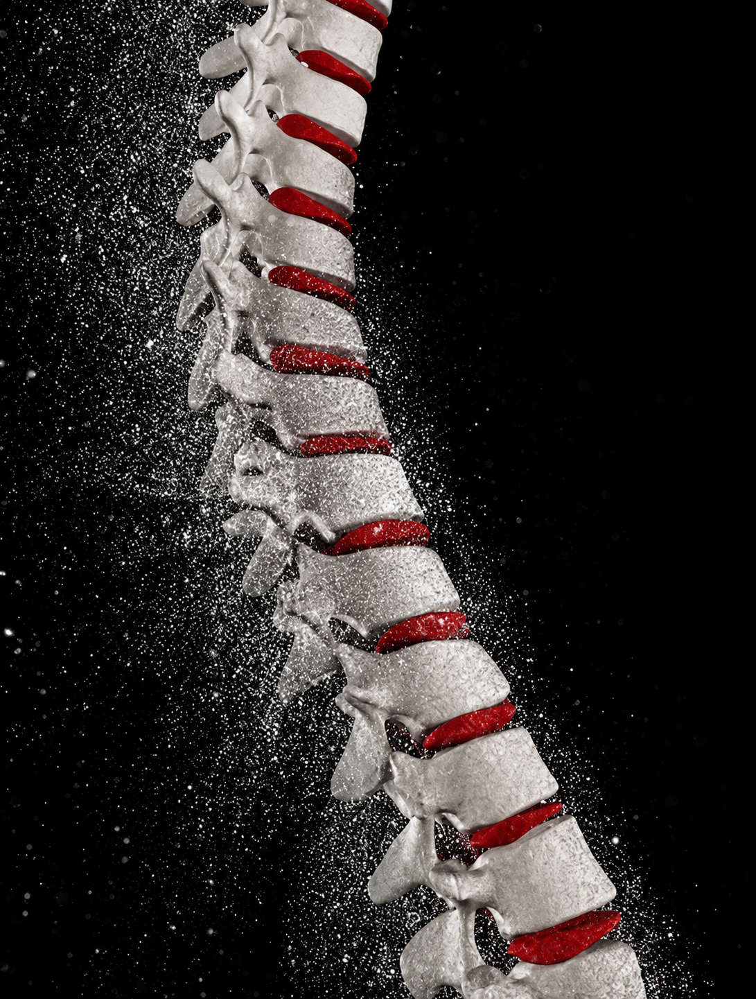 Spinal Cord